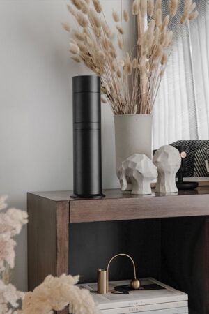 Diffusers & Fragrances